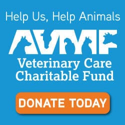 Veterinary Care Charitable Fund